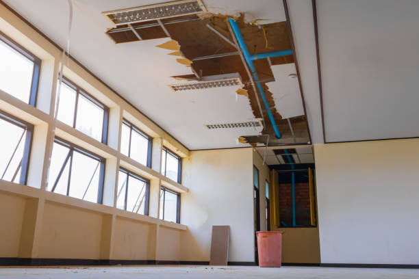 Best Flooded house restoration  in Shoshone, ID