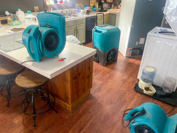 Best Residential water damage restoration  in Shoshone, ID