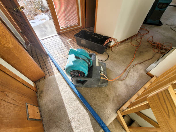 Best 24/7 water damage repair  in Shoshone, ID