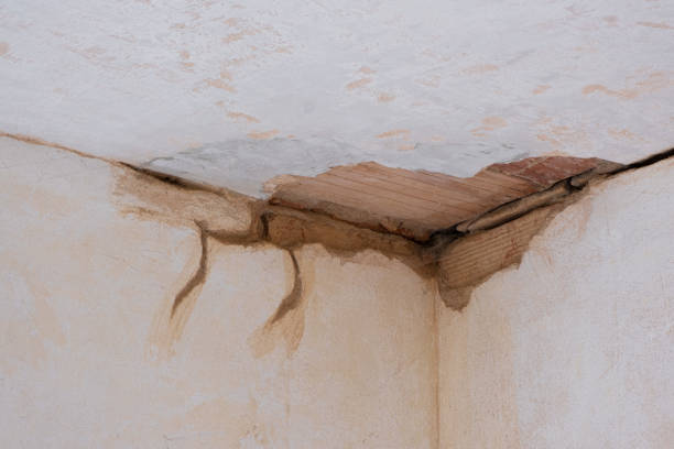 Best Professional water damage repair  in Shoshone, ID