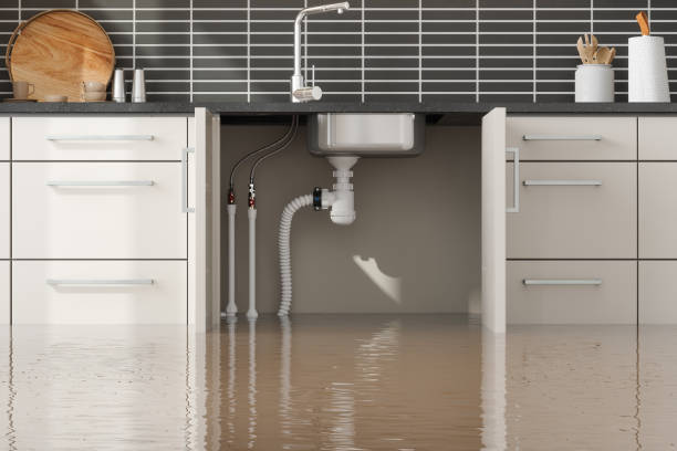 Best Ceiling water damage repair  in Shoshone, ID