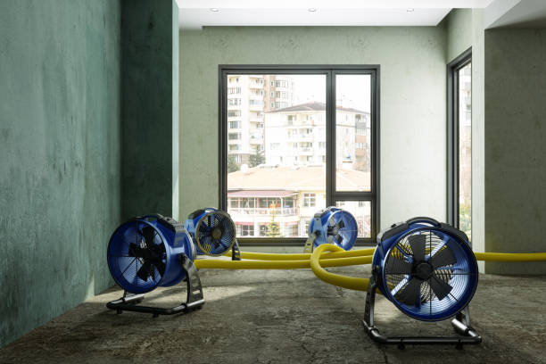 Best Water damage restoration near me  in Shoshone, ID